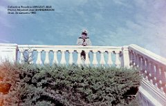 Mas- 043- Oran 